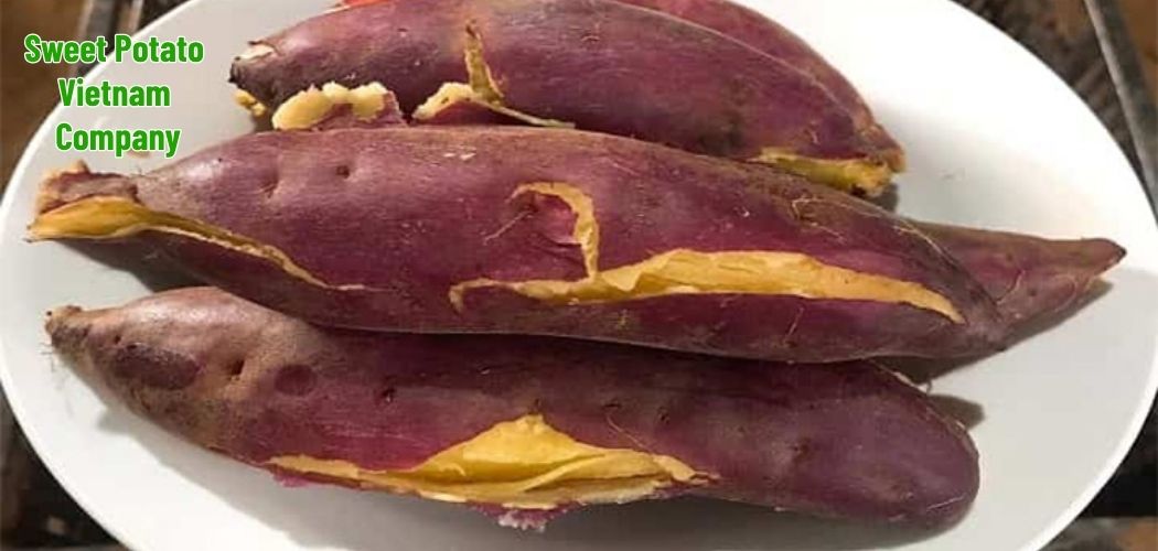 Sweet Potato Vietnam Company 10