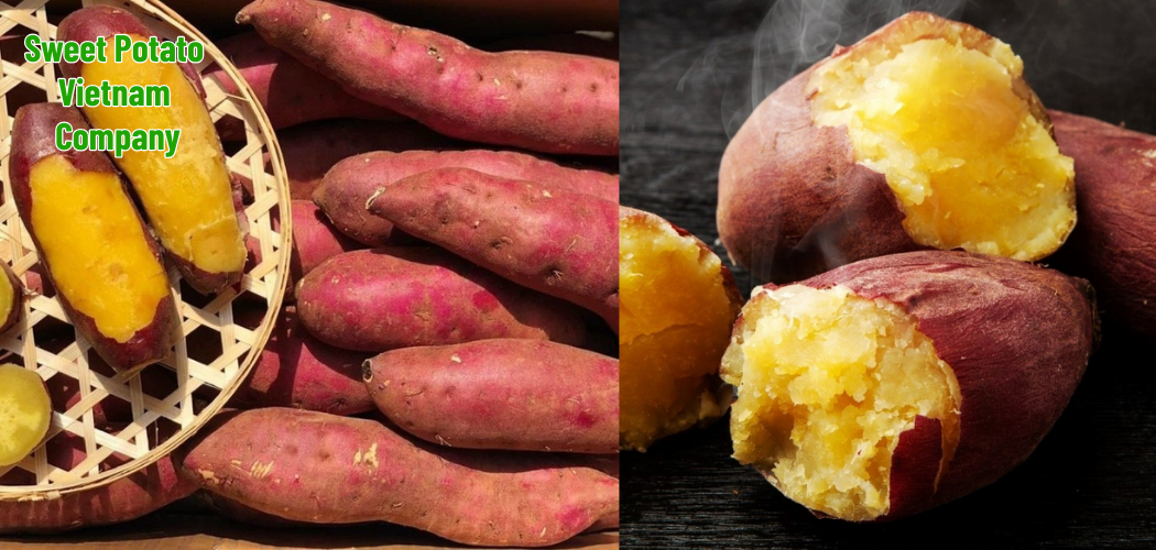 Frozen Sweet Potatoes – Premium Quality at Competitive Price from Vietnam 1 Sweet Potato Vietnam Company 2