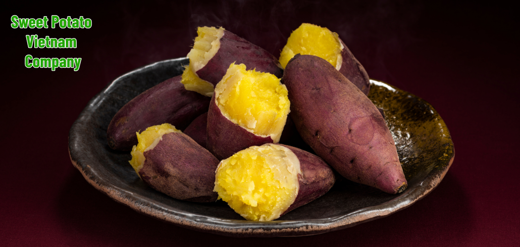 Sweet Potato Varieties from Vietnam: Top Quality & Low Price 1 Sweet Potato Vietnam Company 3