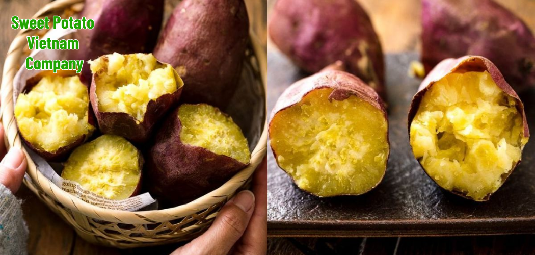 Sweet Potato Vietnam Company 4