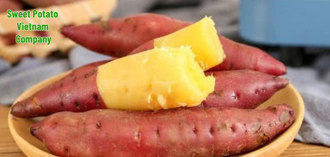 Sweet Potato Vietnam Company 7