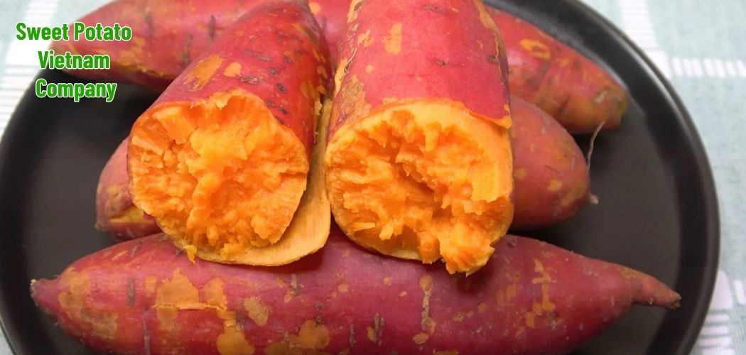 Sweet Potato Vietnam Company 9