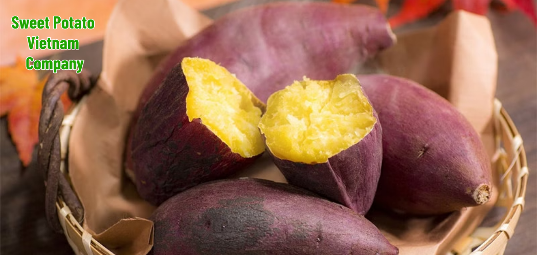 Sweet Potato Vietnam Company