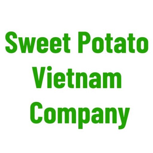 Sweet Potato Vietnam